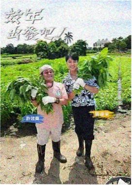 番茄小说网科幻小说星轨之外封面